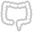 Rectum