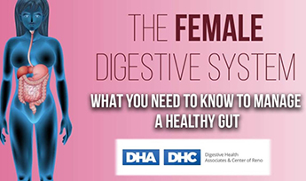 The female digestive system and what you need to know to manage a healthy gut